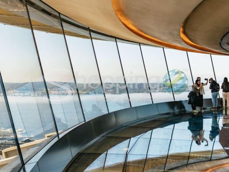 Space needle & chihuly garden and glass ticket in Seattle - Tour in  Seattle