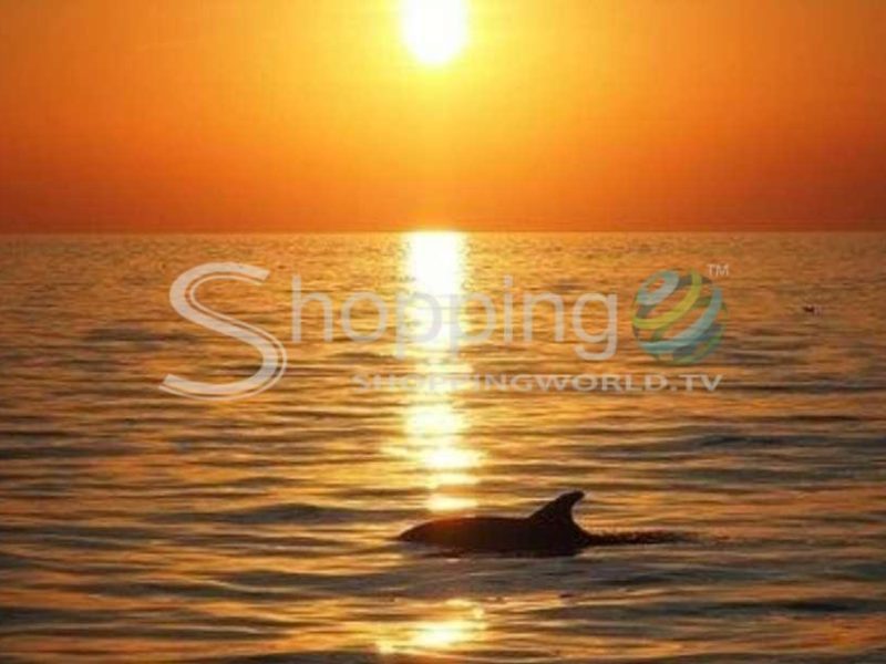 Sunset catamaran cruise in Panama City Beach - Tour in  Panama City Beach