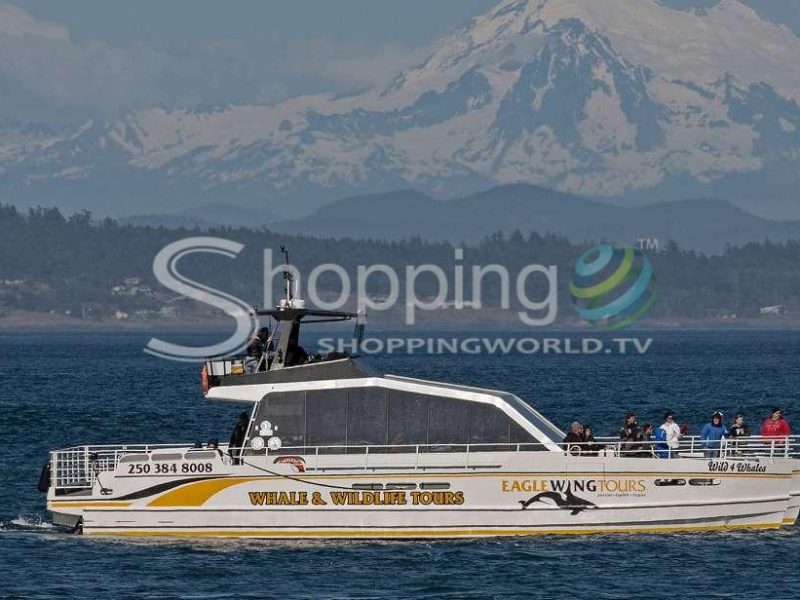 Sunset whale watching tour on semi-covered boat in Victoria - Tour in  Victoria