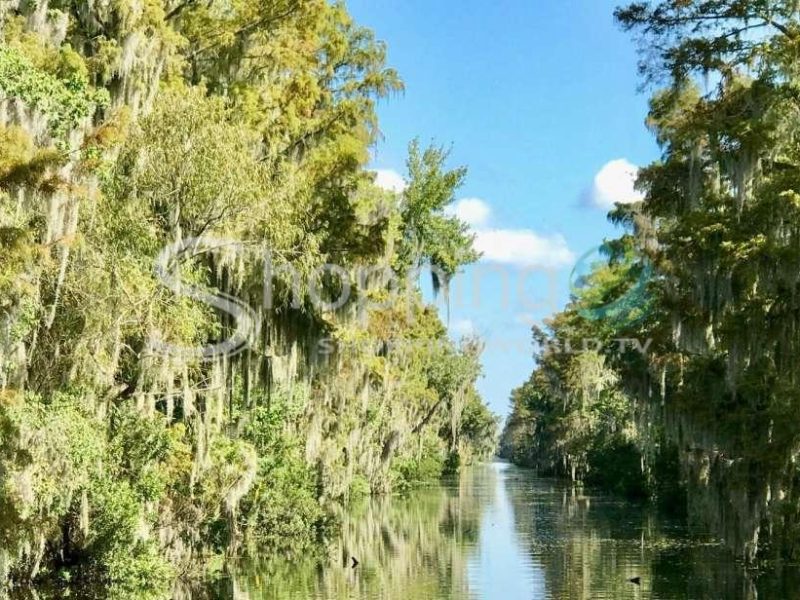 Swamp tours south of new orleans by airboat in New Orleans - Tour in  New Orleans
