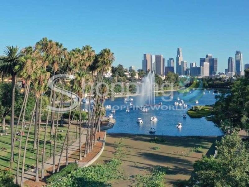 Swan pedal boat rental in Los Angeles - Tour in  Los Angeles