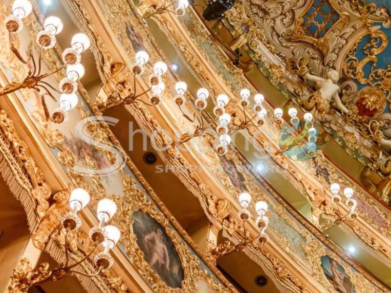 The Majestic Teatro La Fenice Guided Tour In Venice In Venice - Tour in  Venice