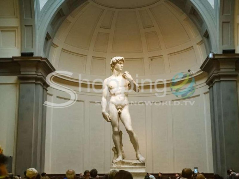 Timed Entrance Ticket To Michelangelo’s David In Florence - Tour in  Florence