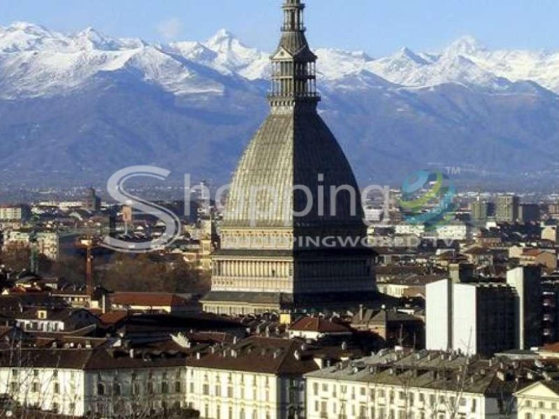 Torino+piemonte 3-day City Card In Turin - Tour in  Turin