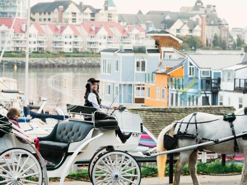 Tour by horse drawn carriage in Victoria - Tour in  Victoria