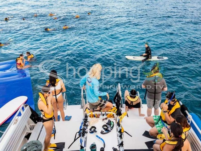 Turtle canyons cruise and snorkel excursion in Hawaii - Tour in  Hawaii