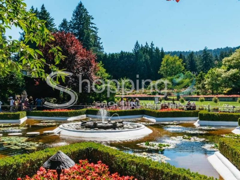 Vancouver to victoria and butchart gardens in Vancouver - Tour in  Vancouver