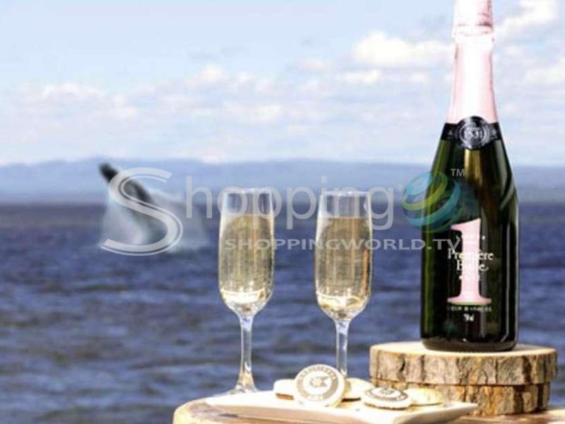 Vip lounge or upper deck whale watching cruise in Canada - Tour in Québec
