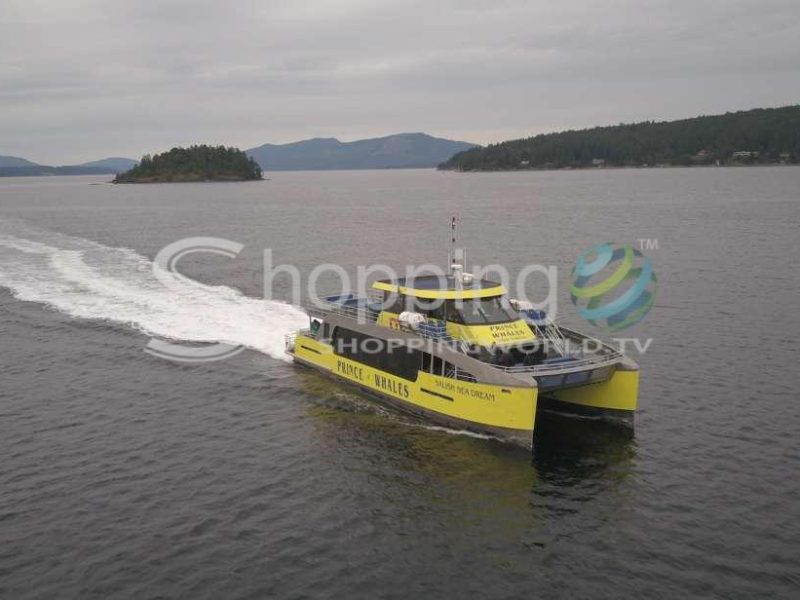 Whale watching cruise by covered boat in Victoria - Tour in  Victoria