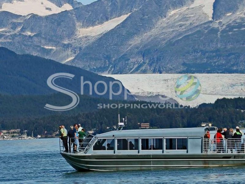 Whale watching cruise with refreshments in USA - Tour in Juneau