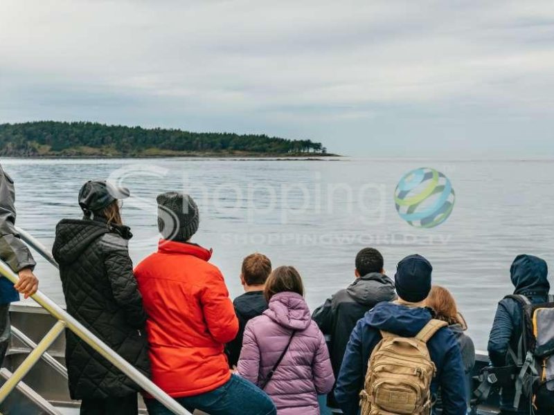 Whale watching tour in Vancouver - Tour in  Vancouver