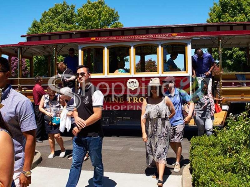 Wine trolley tasting tour with lunch in USA - Tour in
