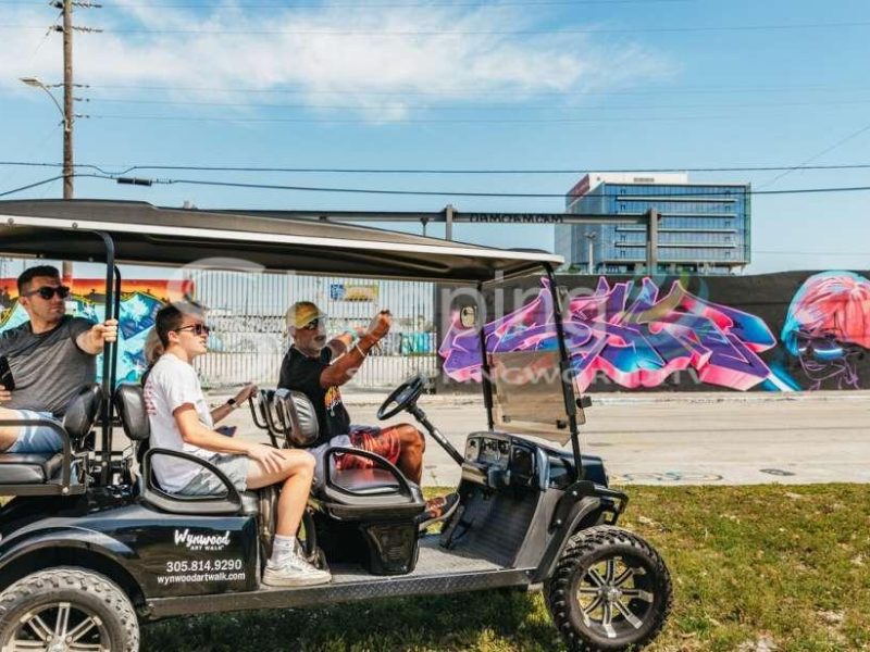 Wynwood art district 1 hour street art tour by golf buggy in Miami - Tour in  Miami