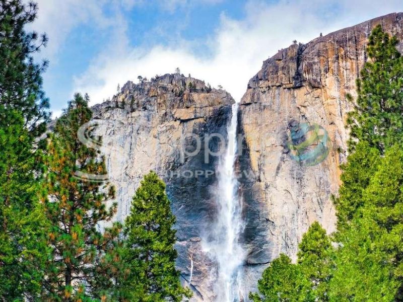 Yosemite national park in San Francisco - Tour in  San Francisco