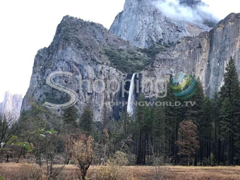 Yosemite tour with giant sequoias hike in San Francisco - Tour in  San Francisco