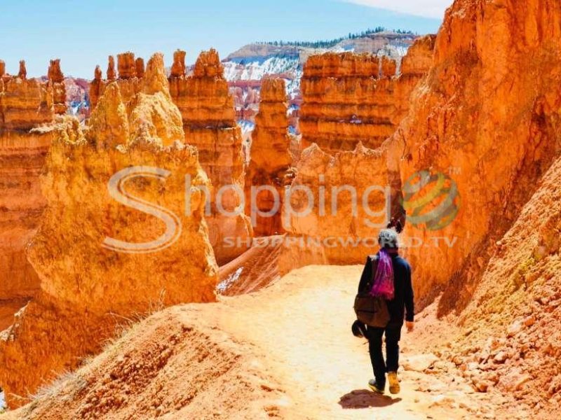 Zion and bryce canyons small group tour in Las Vegas - Tour in  Las Vegas