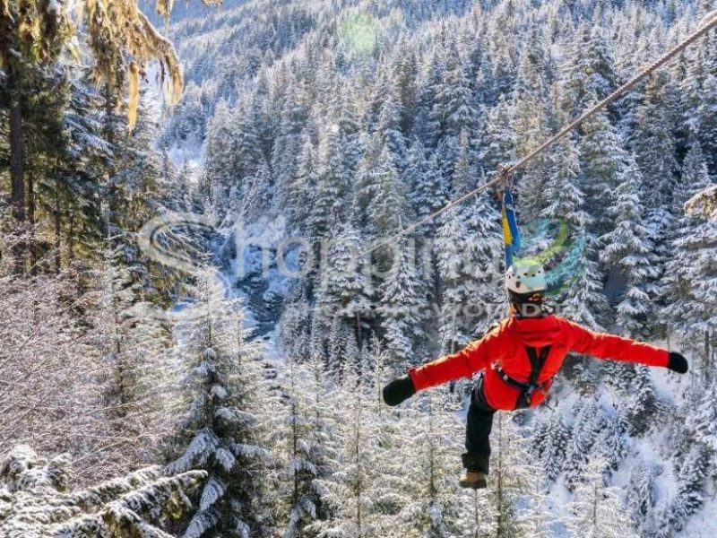 Ziptrek eagle tour in Canada - Tour in Whistler