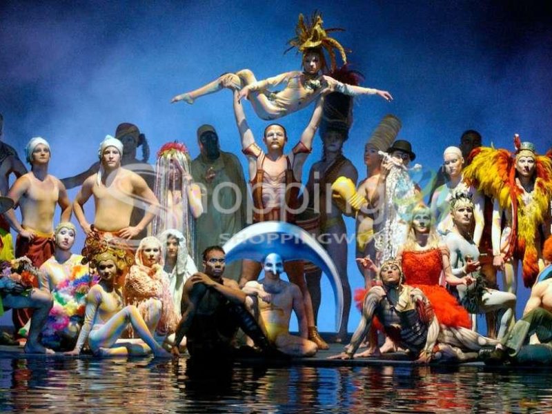 “o” by cirque du soleil at bellagio in Las Vegas - Tour in  Las Vegas
